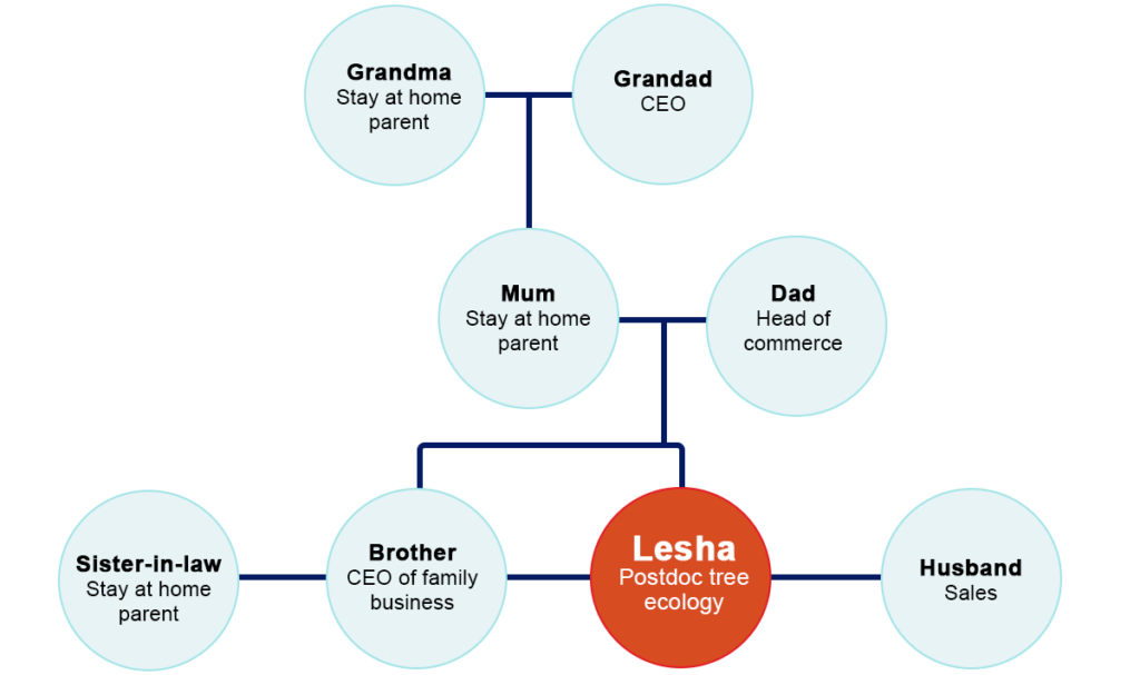 A family tree, including the job title of each person, showing three generations of a family